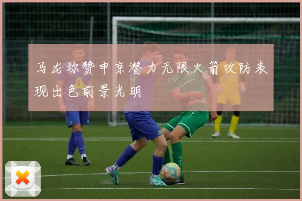 马龙称赞申京潜力无限火箭攻防表现出色前景光明