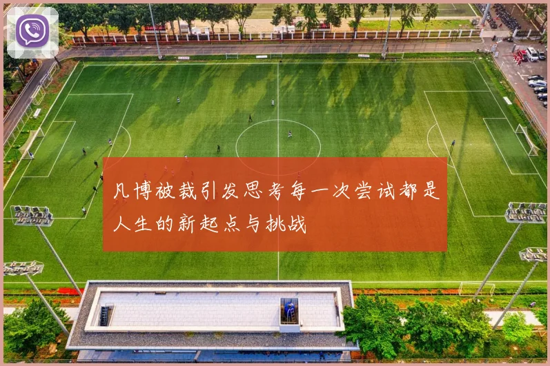 凡博被裁引发思考每一次尝试都是人生的新起点与挑战