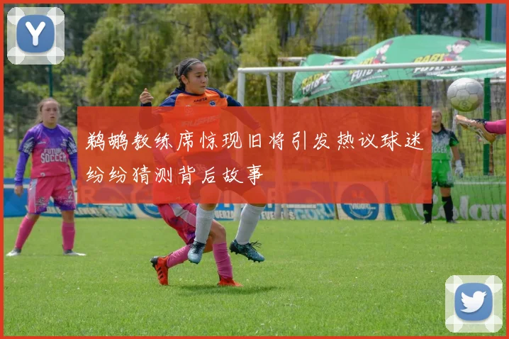 鹈鹕教练席惊现旧将引发热议球迷纷纷猜测背后故事