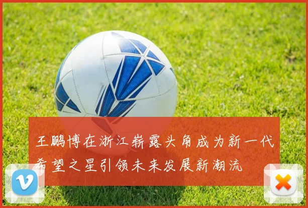 王鹏博在浙江崭露头角成为新一代希望之星引领未来发展新潮流