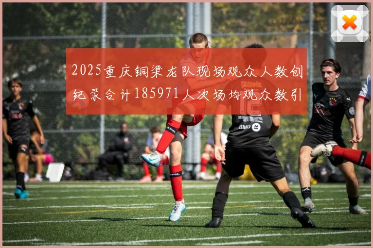 2025重庆铜梁龙队现场观众人数创纪录合计185971人次场均观众数引发热议