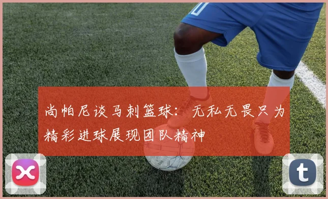 尚帕尼谈马刺篮球：无私无畏只为精彩进球展现团队精神