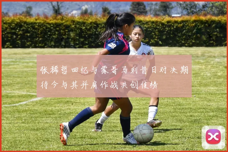 张稀哲回忆与蒙哥马利昔日对决期待今与其并肩作战共创佳绩