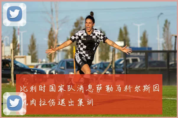 比利时国家队消息萨勒马科尔斯因肌肉拉伤退出集训